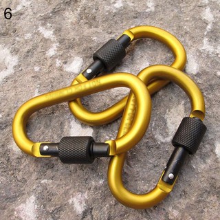 Carabiner D-Ring Shape Key Chain Clip Hook Camping Buckle (9)