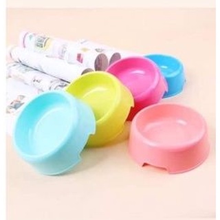 Single Plastic Bowl Feeder for Dogs and Cats