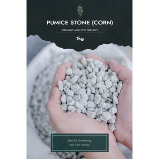 1kg Pumice Stone Corn size