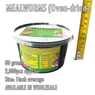 ✔DRIED MEALWORM (80g - 2000pcs) Pet Food for Fish, Birds, Hamster, Reptiles (GREENSECT)