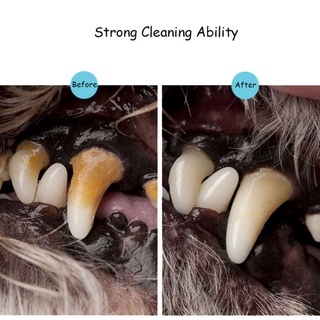 Pet Teeth Cleaning Kit Pet Beauty Toothbrush Dog Cat Tartar Dental Stone Cleaning Tool (4)