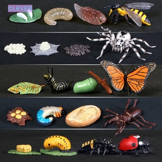 CLEVER Kids Toy Simulation Early Education Model Animals Growth Cycle Life Cycle Kindergarten Teaching Butterfly Ladybug Chicken Dragonfly Figurine