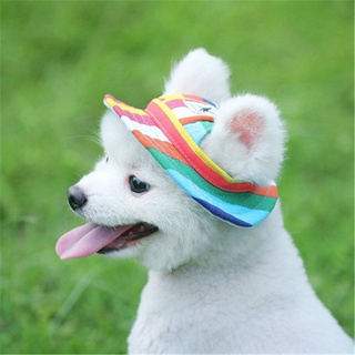【Pety Pet】Dog pet headdress cute cat headdress wig cat headdress hat dog hat (3)