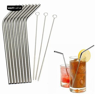 Stainless Steel Straw With Cleaner Brush (1)