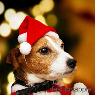 【Ready Stock】▥۩✺❀❀ Christmas pet santa hat small puppy cat dog xmas holiday costume ornaments
