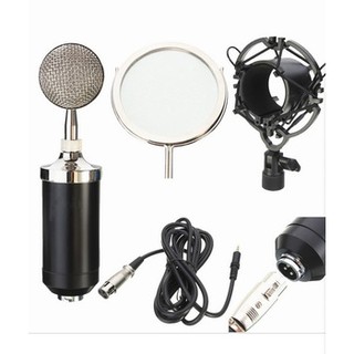 BM-8000 Professional Broadcasting And Recording Condenser Microphone Set With Mic Stand