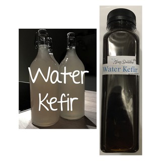 water kefir drink organic muscovado probiotics bottled 300ml