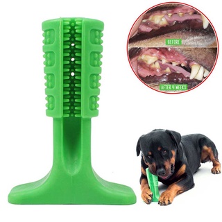 bristly dog toothbrush pets oral care tool