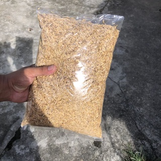 Rice Hull (Ipa) 1 Kilogram (1)