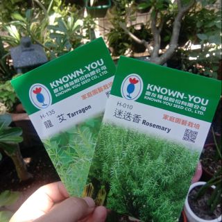 Known-you Herb Seeds tarragon, dill, peppermint or rosemary (2)