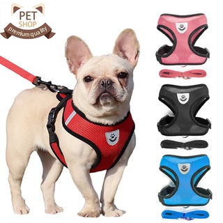 Dog Harness Puppy Fashion Mesh Vest + Leash Lead Set
