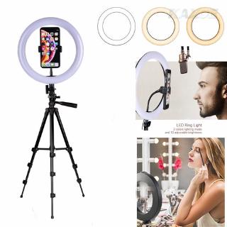 Video Live Phone Holder USB Ring Light Dimmable LED Selfie Ring Lamp Selfie Stick Tripod with Ring Fill Light (1)