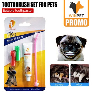 Pet Toothpaste, Dog Oral Cleaning Supplies, Dental Care Tools, Dog Toothbrush Set