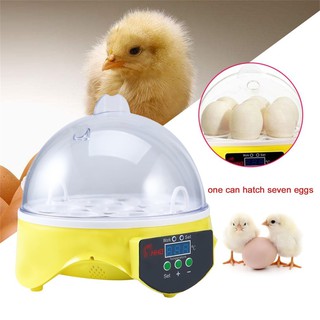 7 eggs Automatic Egg Incubator Chicken Hatcher Temperature Control (1)