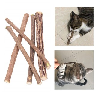 5/10 Pcs Cat Chew Sticks Cleaning Teeth Natural Matatabi Catnip Stick Cat Snacks Sticks Toothpaste S