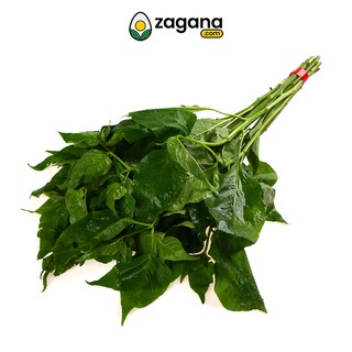 Zagana Farm Fresh Sili Leaves 250G (4)