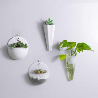 1Pcs Multifunctional Wall Mounted Vase Cute Punch Free Hydroponic Green Dill Hanging Flower Pot Home Wall Decoration