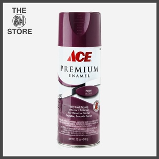 Ace Hardware Premium Enamel Spray Paint 340g – Plum Gloss