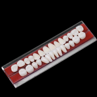 AROMA High Quality Dental Materials 1 Set Tooth Shade Guide 24 # Resin Teeth 24pcs/set Teeth Model Durable Dentures Colors Dentures/Multicolor (9)
