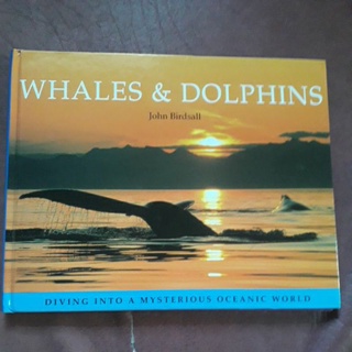 WHALES AND DOLPHINS by John Birdsall (Diving Into A Mysterious Oceanic World)