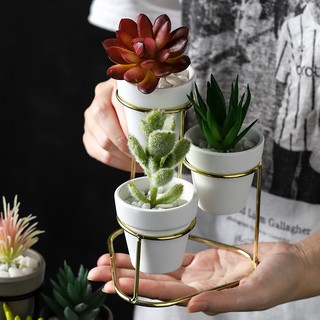 Ceramic Succulent Planter Pots with Metal Stand Holder Set, Planting Small Flower Planter Pots