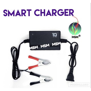 MSM Battery Smart Charger for 12 Volts Motorcycle
