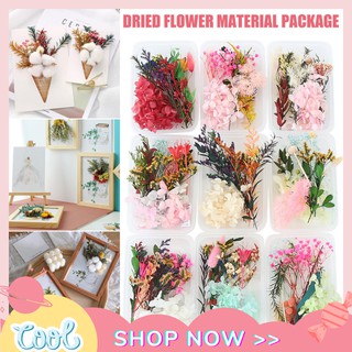 Pressed Flower Mixed Dried Flowers For Resin Art Craft DIY Art Floral Decors Collection Gift Craft DIY Dry Flowers Home Decor For Aromatherapy Candles Resin Accessories Jewelry Pendant Necklace