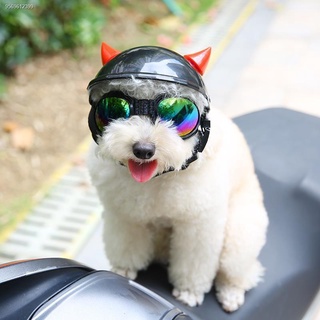 Locomotive Trend Headgear Black Safety Helmet Pet Helmet Dog Hat Fashion White Cute Cat Teddy (4)