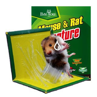Mouse Board Sticky RatGlue Trap Mouse Glue Board