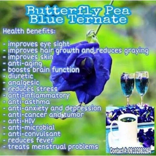 Food & Beverage☽㍿✷Dried Blue Butterfly Pea Blue Tea Clitoria Ternatea