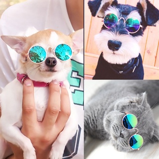 Cat Eye-wear Pet Sunglasses Little Dog Glasses Cat Glasses Photos Props Dog Cat Accessories Pet Supp