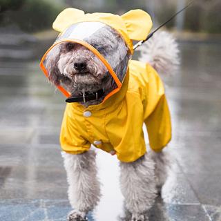 Dog Raincoat All-inclusive Cartoon Waterproof Teddy Four-foot Poncho Small Dog Puppies Autumn and Winter Pet Clothes (1)