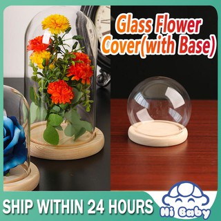 Clear Glass Display Dome Cover Glass Flower Display Cloche Bell Jar Glass Bottle Home Decor Vases