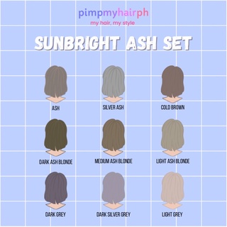 Sunbright Ash Hair Color Set