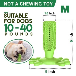 【Loveinhouse】Pet Dogs Molar Stick for Cleaning Teeth Nontoxic Bite Resistant Brush Stick with Base (2)