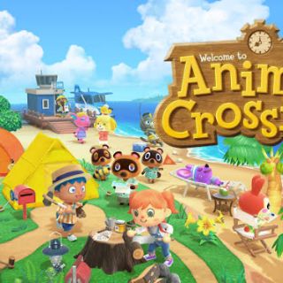 Nintendo switch animal crossing new horizon (4)