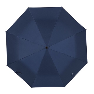 Fashion Foldable Umbrella Auto Open Close One Handed Umbrella Automatic Umbrella 50+UV Windproof Bw