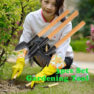 3pcs Mini Garden Plant Tool Set With Wooden Handle Gardening Tool Shovel Rake