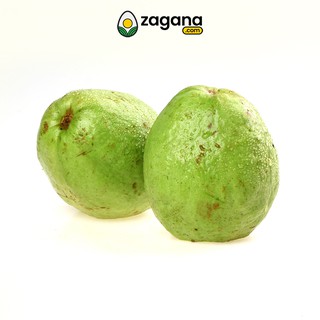 Zagana Farm Fresh Taiwan Guava 1KG