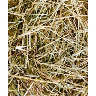Star Grass Hay REPACKED 1KG