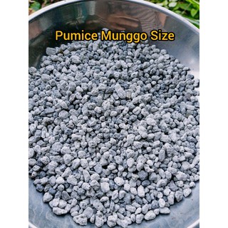 Pumice Monggo size 1kg