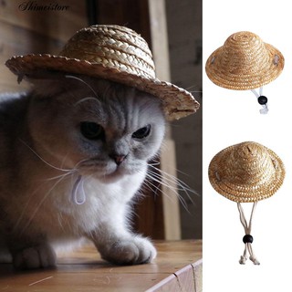 Novelty Summer Adjustable Outdoor Straw Hat Puppy Small Cute Pet Cat Sunhats