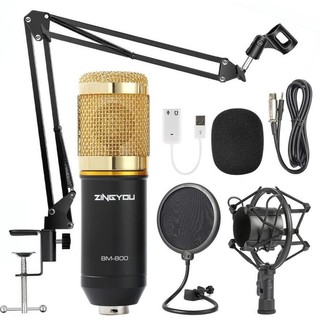 BM800 Condenser Microphone Pro Audio Studio Sound Recording Arm Stand 6 inch Pop Filter Kit