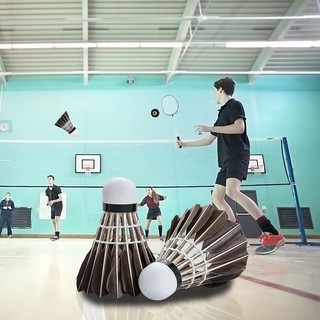 12 Pcs Badminton Balls Goose Feather Shuttlecocks Black (1)