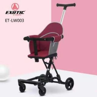 2 in 1 Baby Stroller