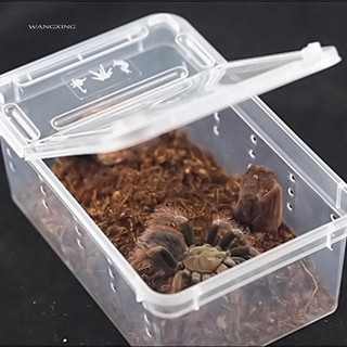 WX_Transparent Plastic Amphibian Insect Reptile Breeding Box Transport Feeding Case