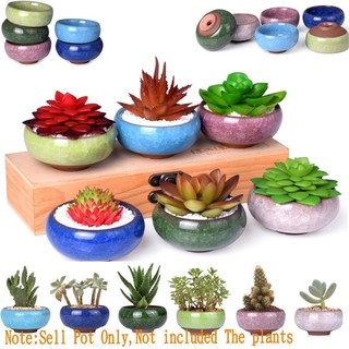 Ice-Crack Glaze Flower Ceramics Succulent Plant Mini Pot