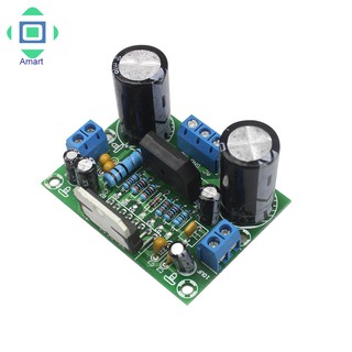 Mono Power Amplifier Board HIFI 100W Power 12-32V Amplifier Module