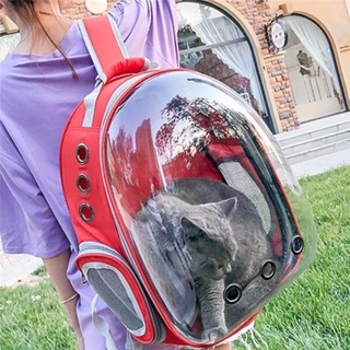1Pc Travel Transparent Cat Carrier Backpack Handbag Portable Hiking Outdoor Space Capsule Bag