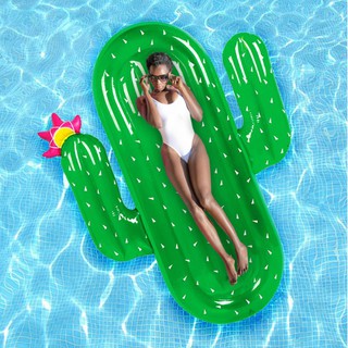 Inflatable Floater Cactus Floater (2)